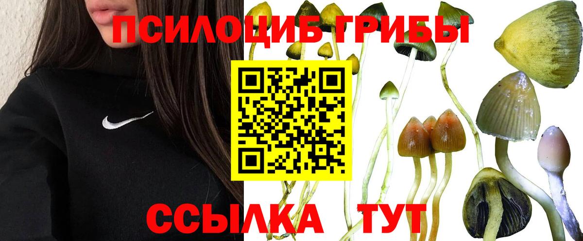 Псилоцибиновые грибы Psilocybe  Вход с VPN  Евпатория  Псилоцибиновые грибы Magic Shrooms 